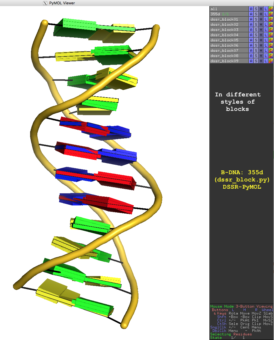 DSSR block image for the Dickerson B-DNA dodecamer (355d)